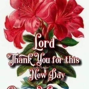 Meet your Posher, Natasha